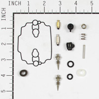 BRIGGS AND STRATTON 842873 - KIT-CARB OVERHAUL - Image 1