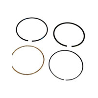 Briggs And Stratton 590402 - Ring Set - Image 1