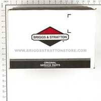 BRIGGS & STRATTON PUMP 317142GS - Image 5