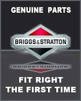 BRIGGS & STRATTON SPRING 312584GS - Image 1