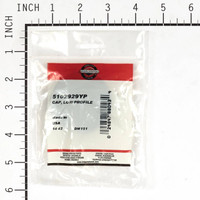 BRIGGS & STRATTON CAP LOW PROFILE 5102929YP - Image 1