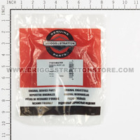 BRIGGS & STRATTON SHIELD DUST 22 WBM 7101402YP - Image 3