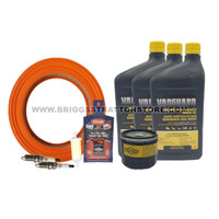 BRIGGS AND STRATTON 84004936 - KIT MAINTENANCE - Image 1 