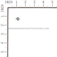 BRIGGS AND STRATTON 793006 - HOSE-PRIMER - Image 4