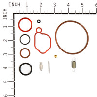 Briggs & Stratton 590589 Carburetor Overhaul Kit w Fuel System Parts