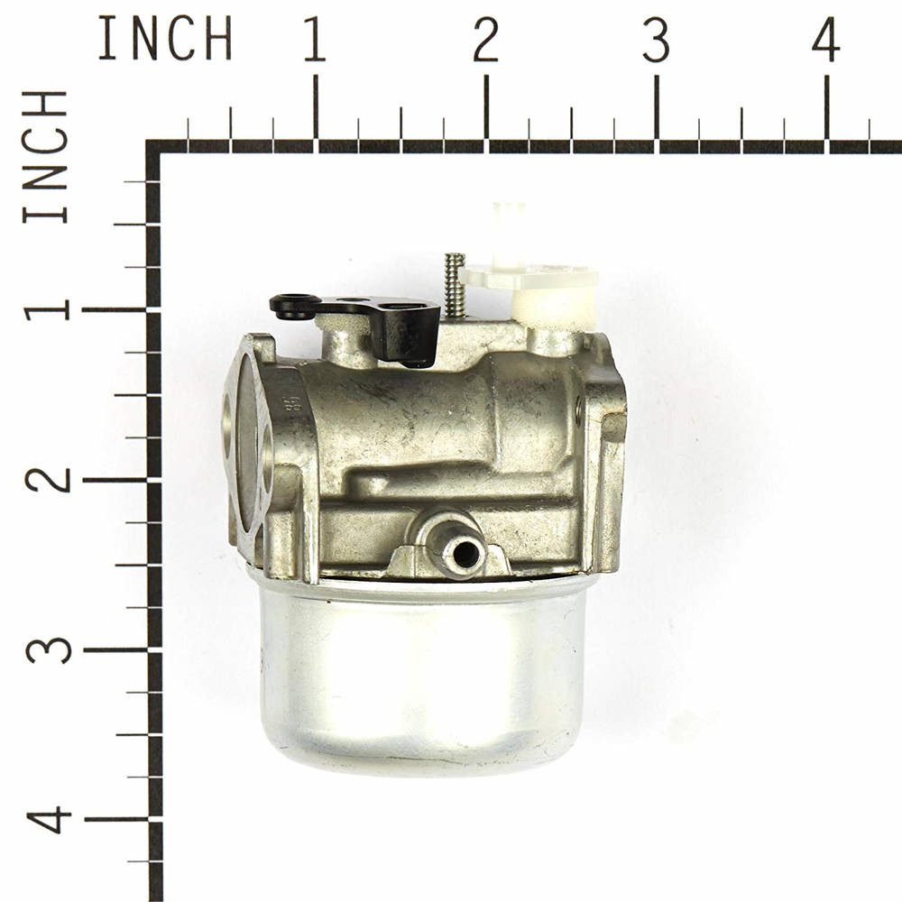 Briggs and Stratton 190cc Carburetor 799869 OEM