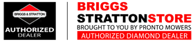 BriggsStrattonStore