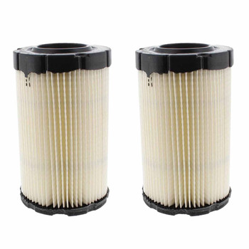 Briggs & Stratton OEM Air Filter 594201 For CXi Series™ - 25HP Engine (2 Pack)