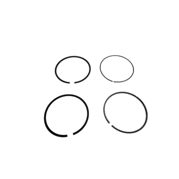 697698 - Ring Set-020 - NO LONGER AVAILABLE - Briggs and Stratton - Genuine OEM Part