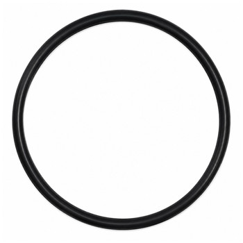 842538 SealO Ring Briggs and Stratton Genuine OEM Part