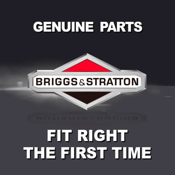 BRIGGS & STRATTON PLATE-FRONT ECOAT 885639BMYP - Image 1