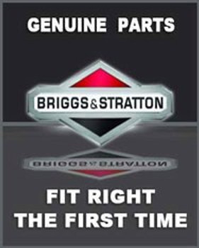 Briggs And Stratton 844802 - Valve-Oil Drain Shut (Briggs Oem Part 