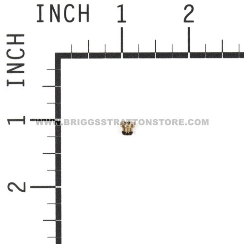 BRIGGS AND STRATTON 699897 - JET-MAIN - Image 2