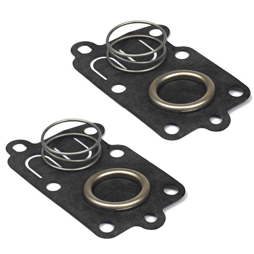 Briggs & Stratton OEM DIAPHRAGM-CARBURETOR 5021K (2 Pack)