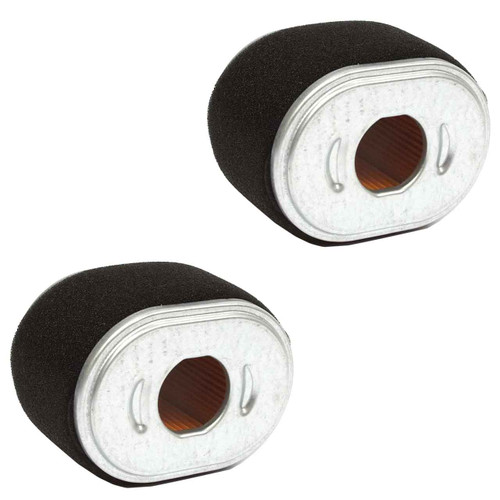 Briggs & Stratton OEM FILTER-AIR CLEANER CA 590601 (2 Pack)