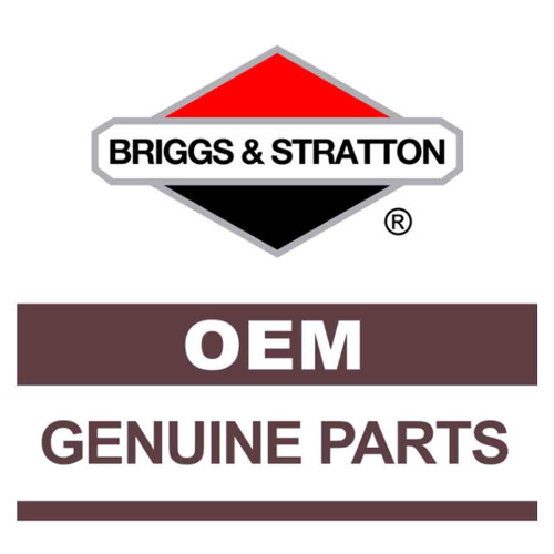 Briggs & Stratton OEM VALVE-FUEL 310574GS (2 Pack)