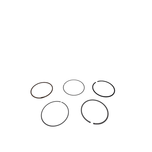 843953 Ring Set Briggs and Stratton Genuine OEM Part