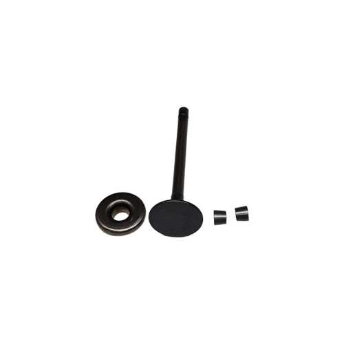 808687 Valve, Exhaust Briggs and Stratton Genuine OEM Part - SUPERSEDED FROM 807681