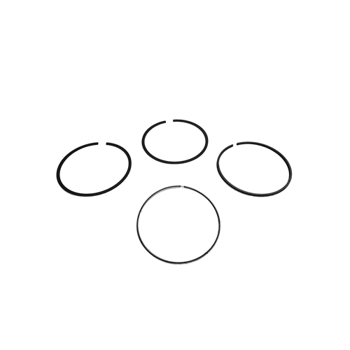 697698 Ring Set020 Briggs and Stratton Genuine OEM Part