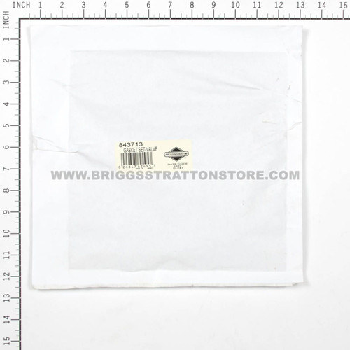 BRIGGS & STRATTON GASKET SET-VALVE 843713 - Image 3