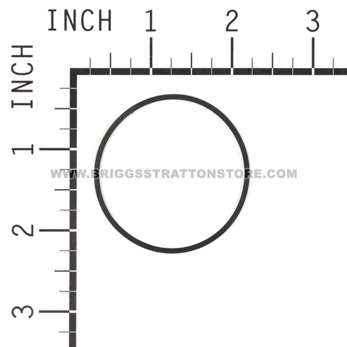 BRIGGS & STRATTON GASKET-FLOAT BOWL 698538 - Image 2