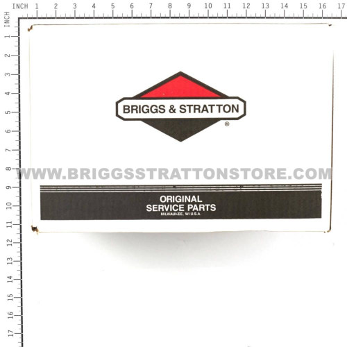 BRIGGS & STRATTON PUMP 311553GS - Image 5