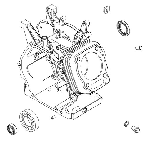 BRIGGS & STRATTON CYLINDER ASSEMBLY 799967 - Image 1