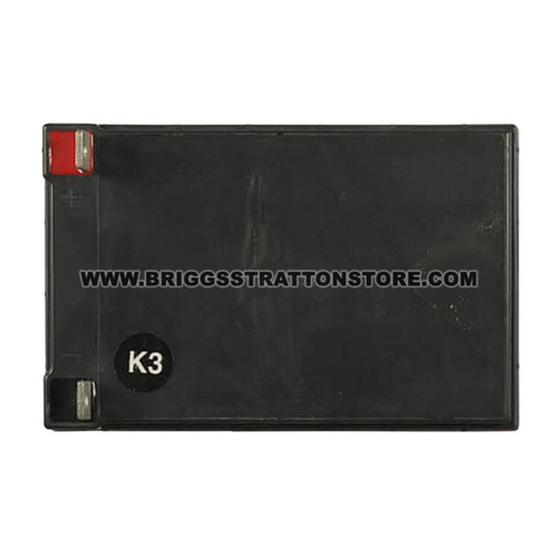 BRIGGS & STRATTON BATTERY 316543GS - Image 2