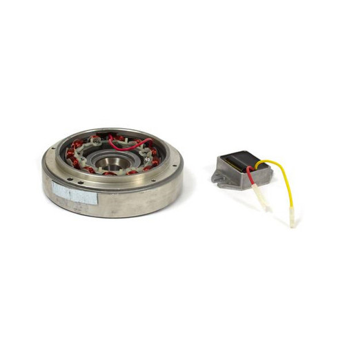 BRIGGS & STRATTON KIT-FLYWHEEL/STATOR 555773 - Image 1