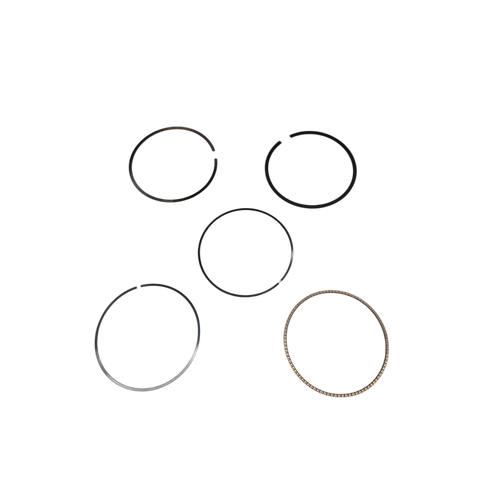 595792 Ring Set Genuine Briggs and Stratton Genuine OEM part