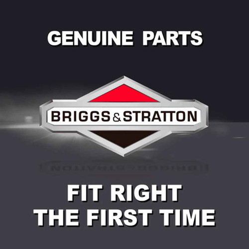 Briggs And Stratton 84002441 - Kit Maintenance (Briggs Oem Part)