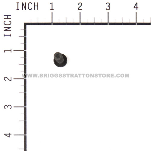 BRIGGS & STRATTON SCREW 791118 - Image 3