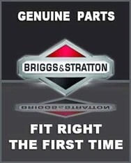 BRIGGS & STRATTON NUT, 3/8-16, NYLOCK 5107131 - Image 1