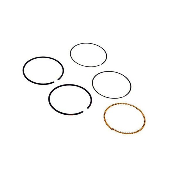 Briggs And Stratton 590523 - Ring Set - Image 1