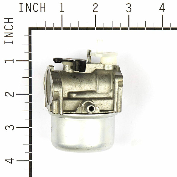 Briggs and Stratton 190cc Carburetor 799869 OEM
