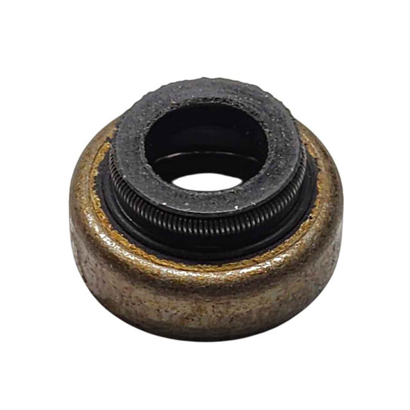 Briggs and Stratton valve seal Briggs & Stratton parts