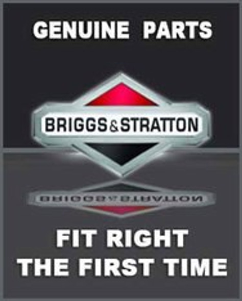 Briggs And Stratton 705482 - Asm Lcd (Briggs Oem Part) | Briggs Parts