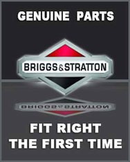 BRIGGS & STRATTON SPRING 312584GS - Image 158