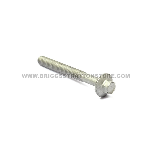 BRIGGS & STRATTON SCREW 592244 - Image 1 BRIGGS & STRATTON SCREW 592244 - Image 1