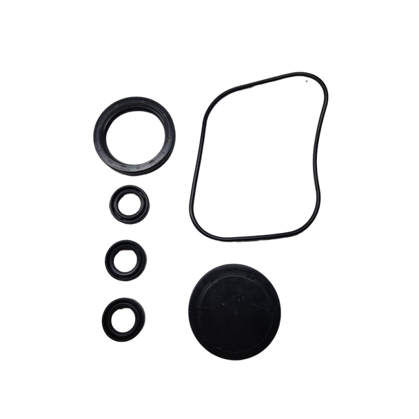 198846GS Kit-Oil Seal - Briggs and Stratton - Genuine OEM Part