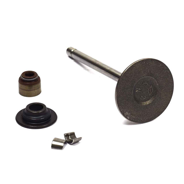 843730 Valve-Intake - Briggs and Stratton - Genuine OEM Part