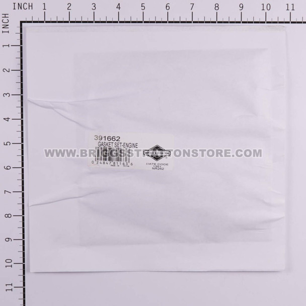 BRIGGS & STRATTON GASKET SET-ENGINE 391662 - Image 3