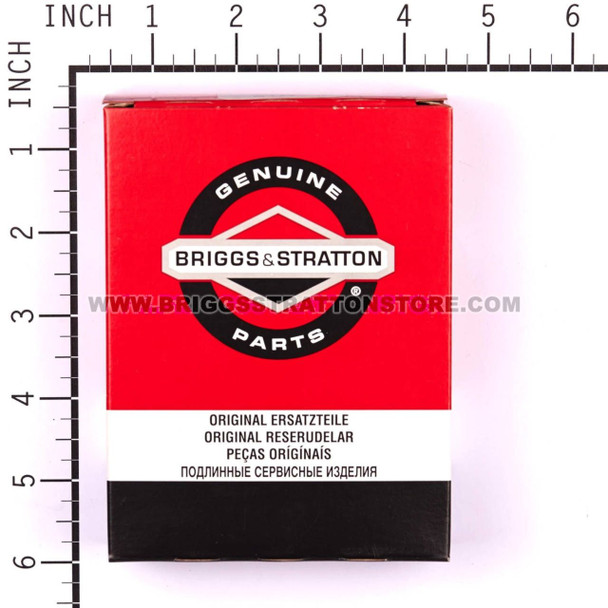 BRIGGS & STRATTON KIT-CARB OVERHAUL 394989 - Image 3