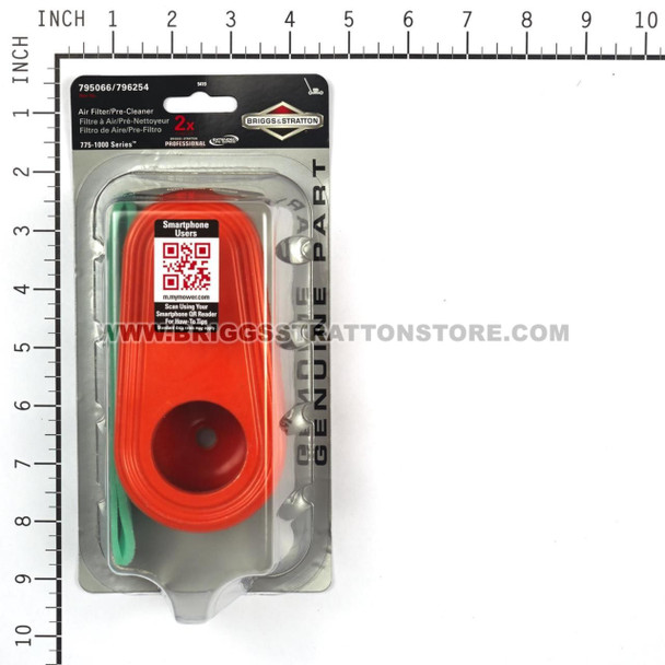 BRIGGS & STRATTON AIR FILTER W/ PRE CLE 5419K - Image 6