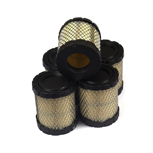 4250 Briggs and Stratton A/C-Filter (5 X 798897)