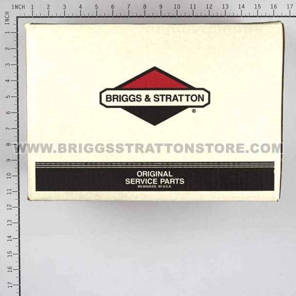 BRIGGS & STRATTON PUMP 206376GS - Image 7