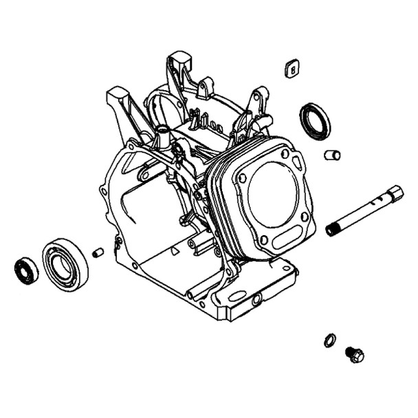 Briggs And Stratton 799808 - Cylinder Assembly (Briggs Oem Part)