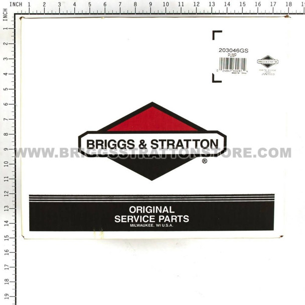 BRIGGS & STRATTON PUMP 203046GS - Image 8 BRIGGS & STRATTON PUMP 203046GS - Image 8