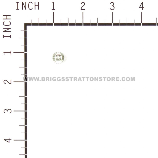 BRIGGS AND STRATTON 699228 - SCREW - Image 2