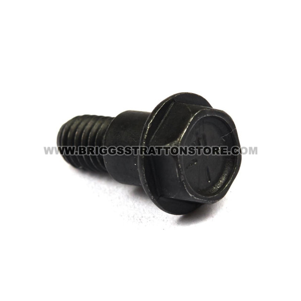 BRIGGS & STRATTON SCREW 690940 - Image 1